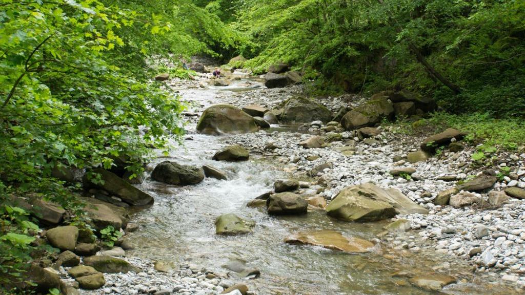 Река Куапсе