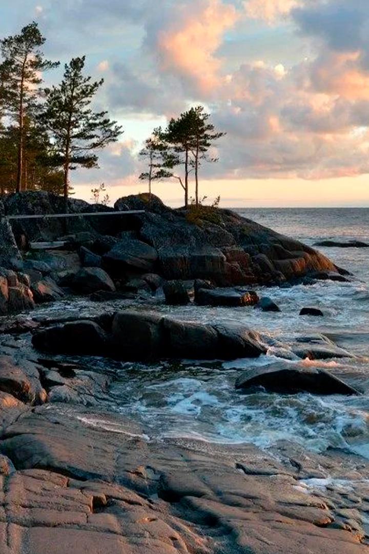 Берег Белого моря