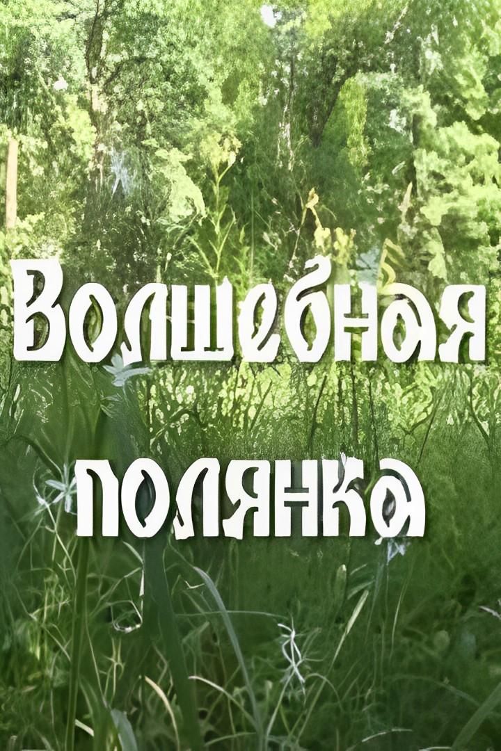 Волшебная полянка