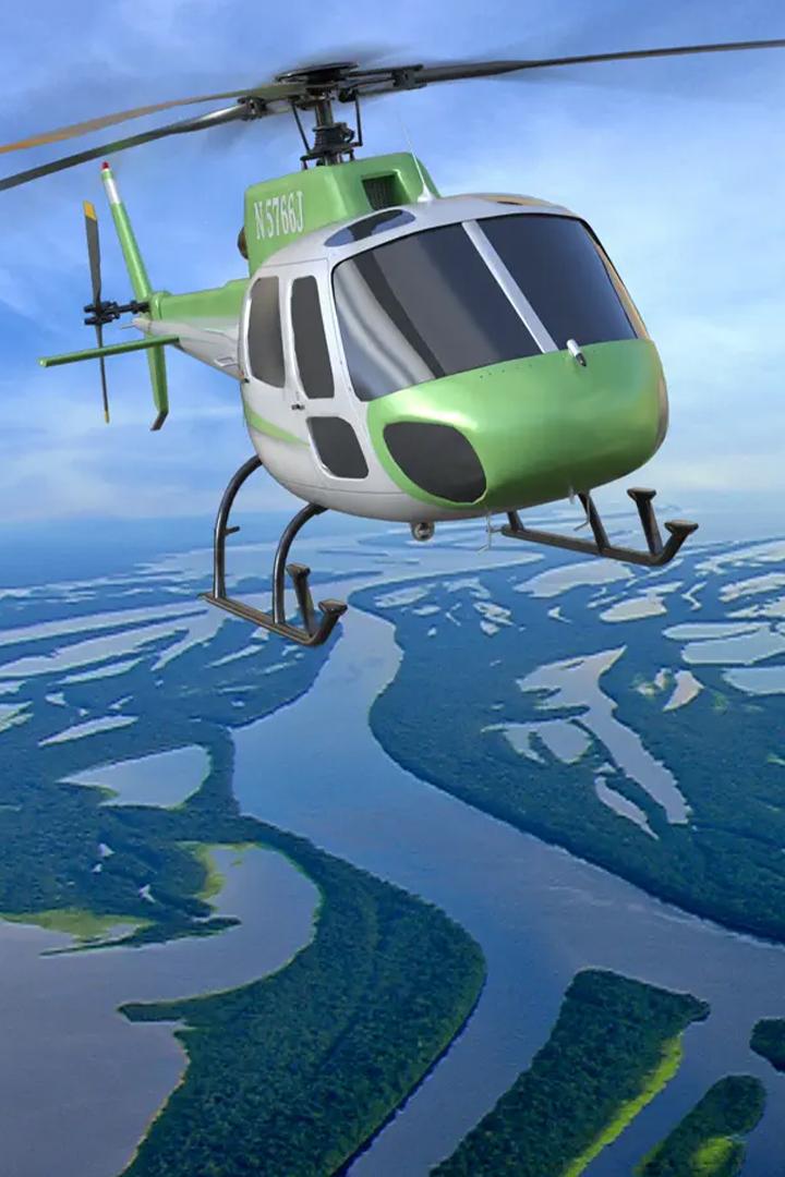 Мир на ладони