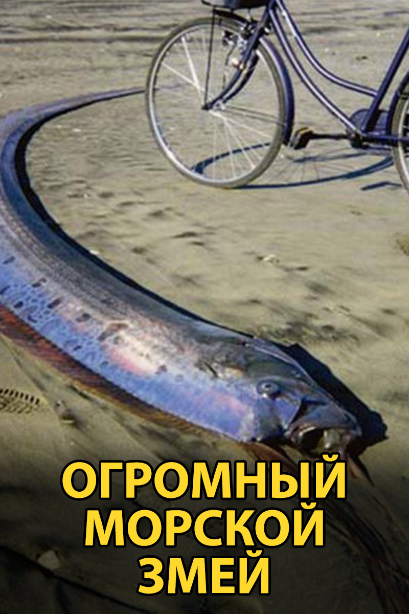 Гигантская морская змея