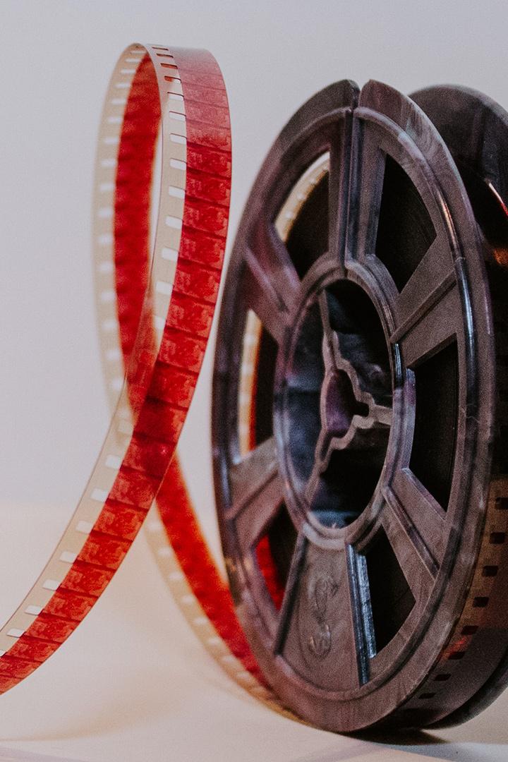 Синяя овечка