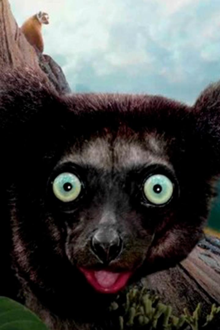 Остров лемуров: Мадагаскар