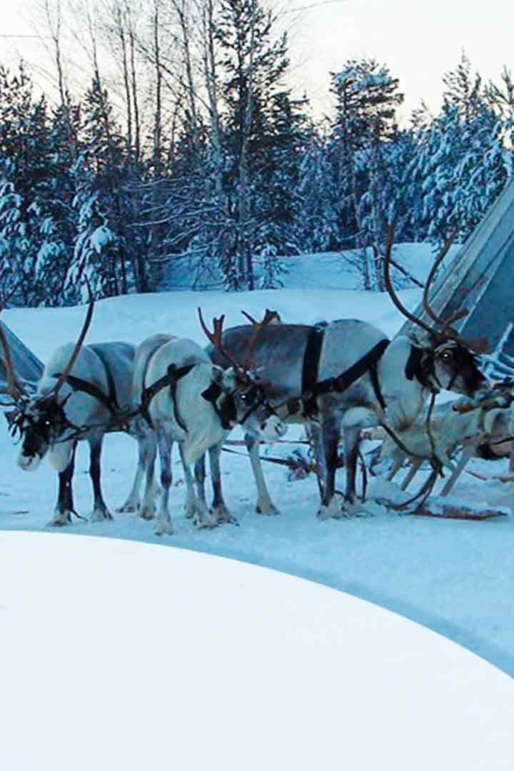 Рождение лодки, или особенности сибирского судостроения