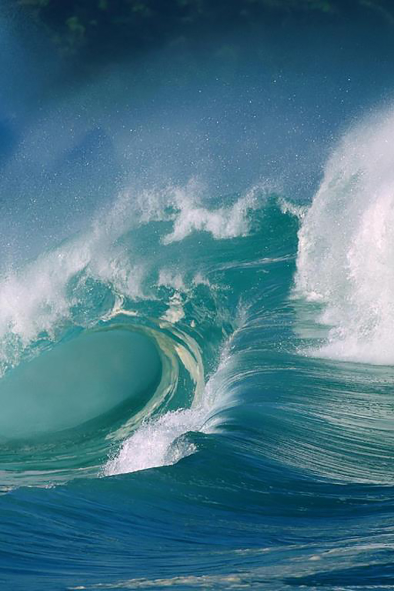 Искатели приключений