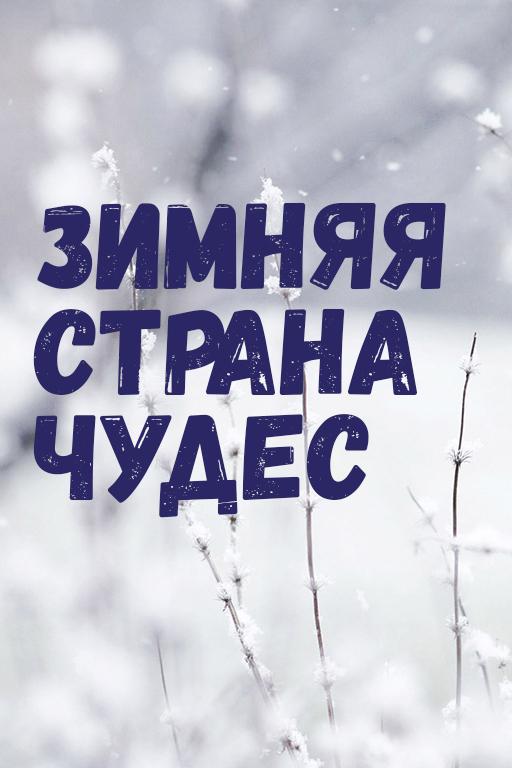 Зимняя страна чудес