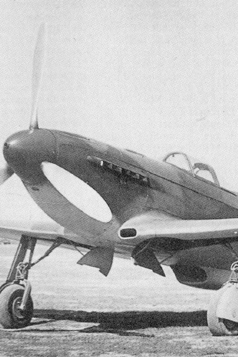 Русские соколы в небе Китая