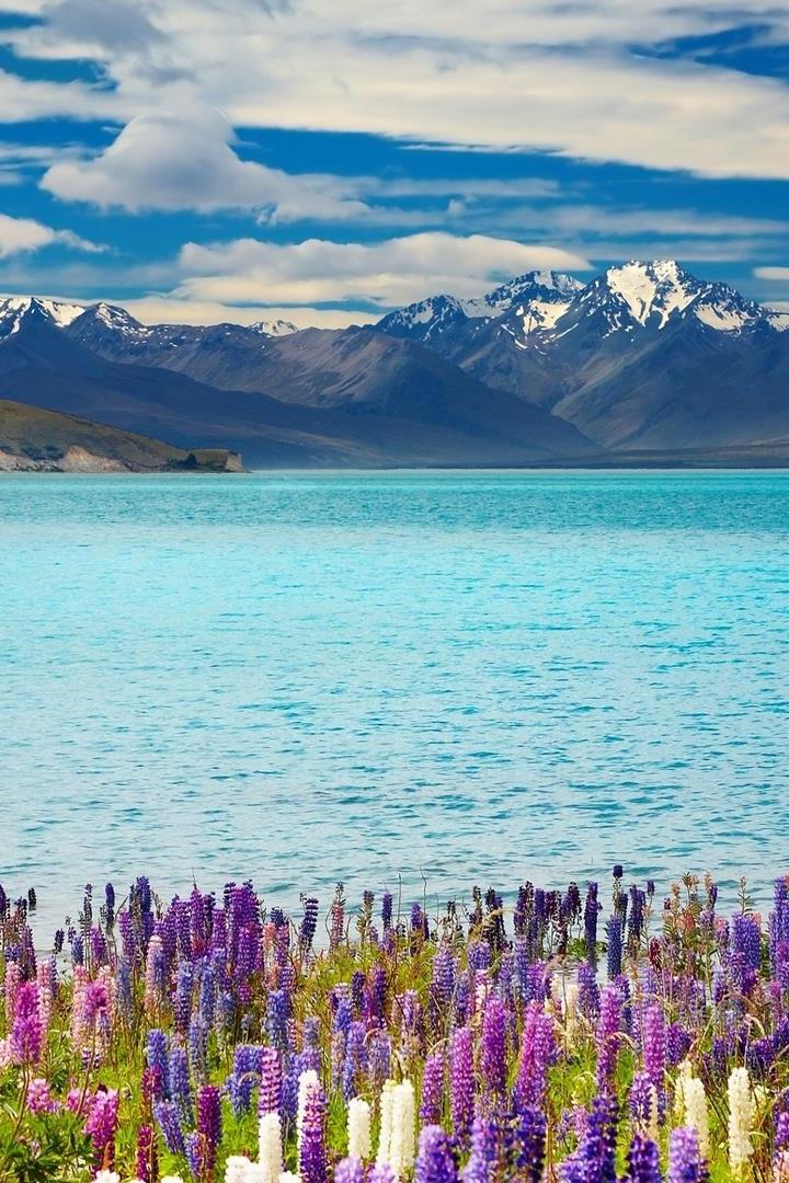 Дикая Новая Зеландия