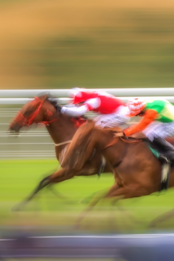 Скачки. "Dubai World Cup Carnival". Трансляция из ОАЭ