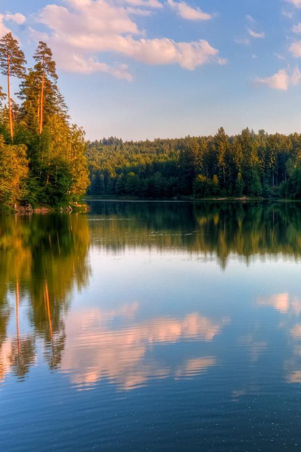 Домашняя река