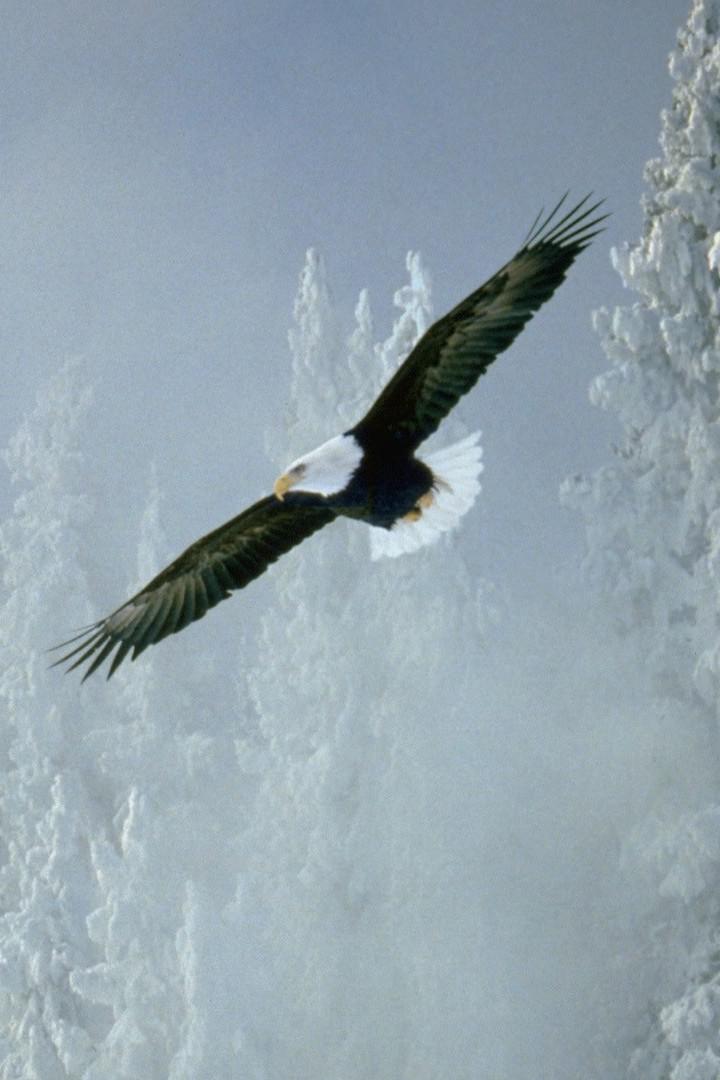 Между небом и землёй Аляски