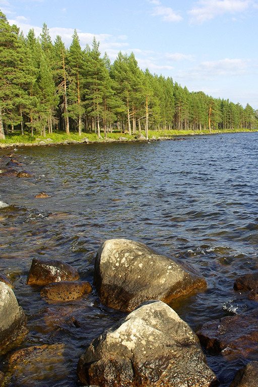 Онежское озеро