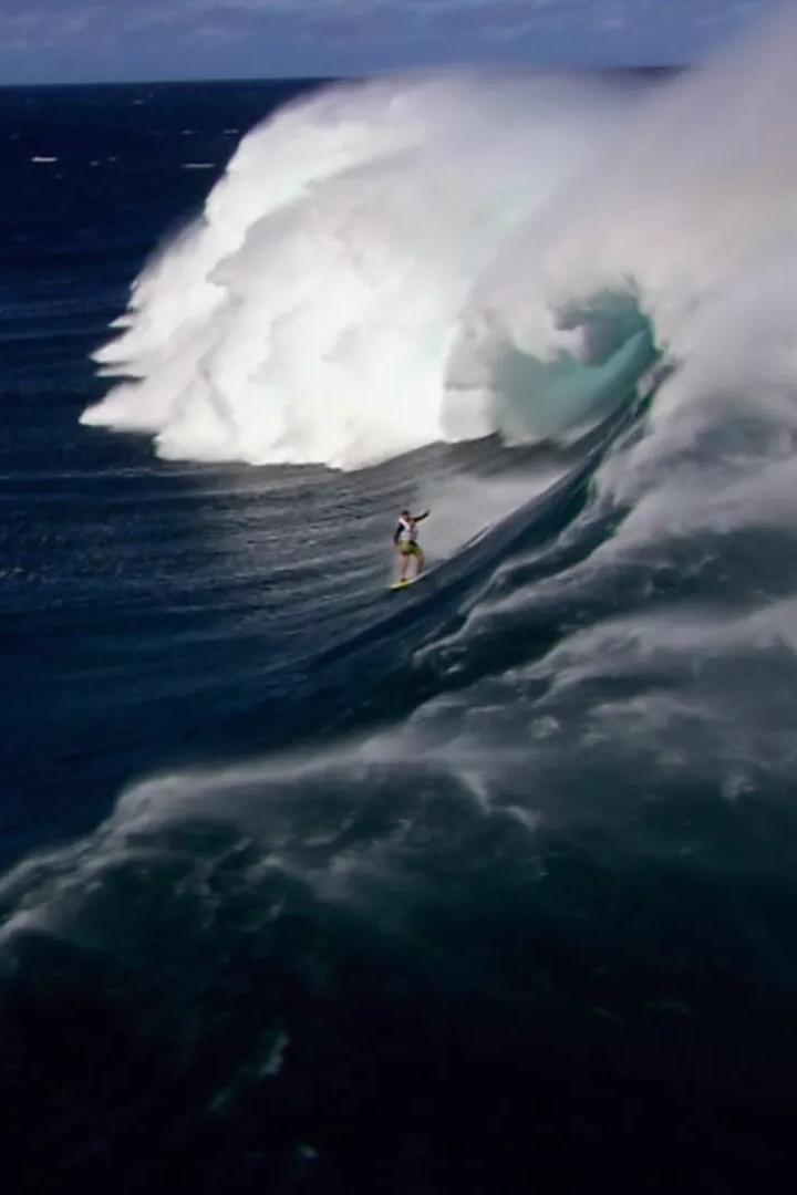 Проект Ахерон