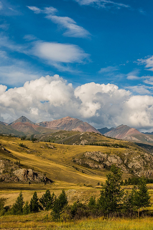 Курайская долина