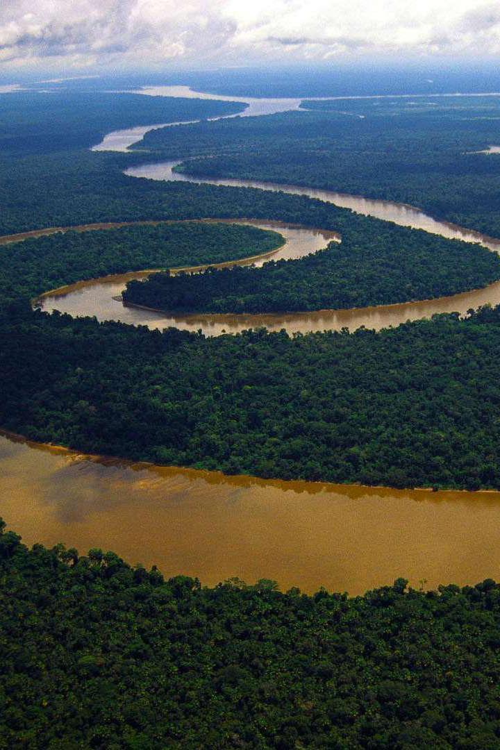 Стоя по Амазонке