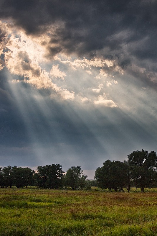 После грозы