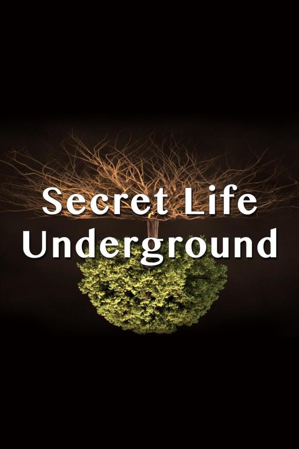 Тайны подземного мира