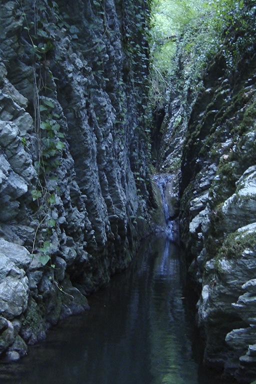 Крабовый каньон