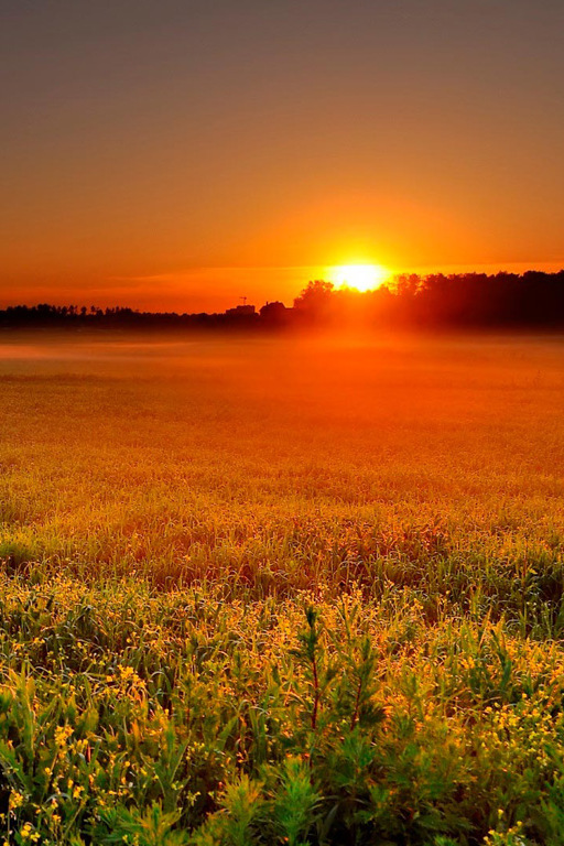 На рассвете