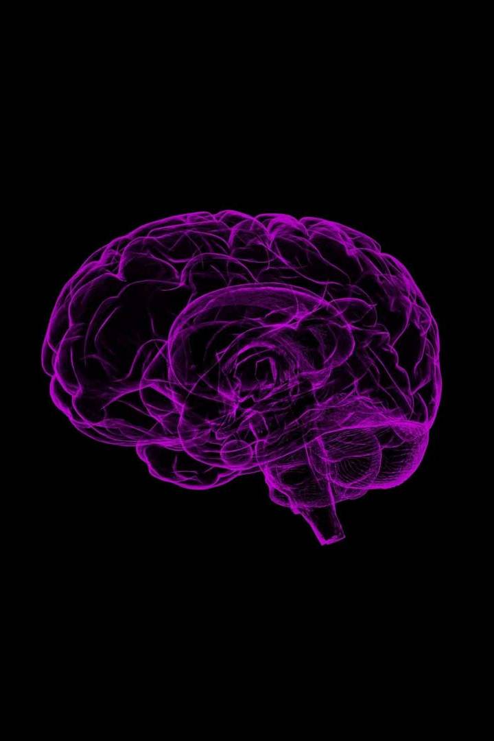 Вспомнить всё