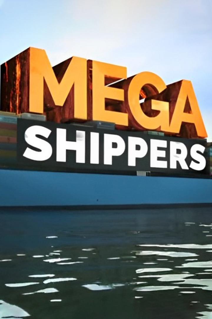 Мегаперевозки