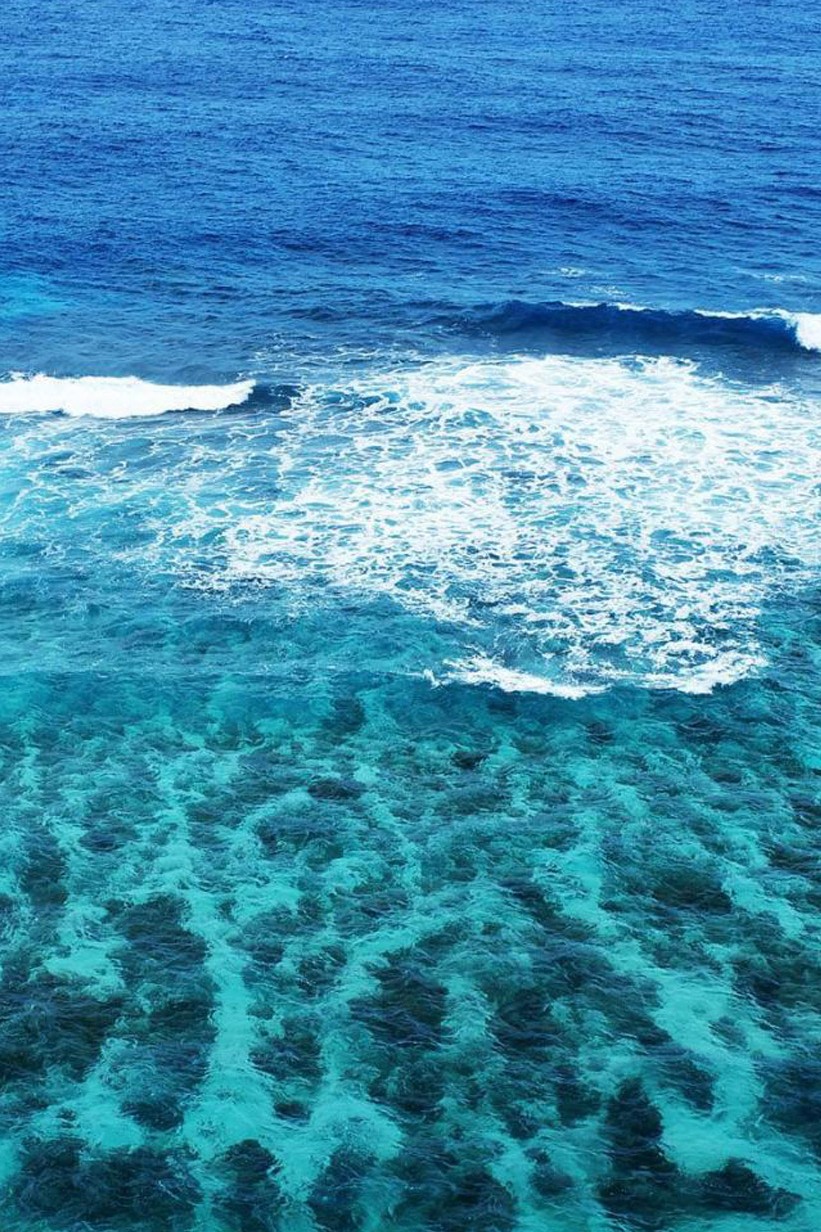 Морские секреты: аквариумные захватчики