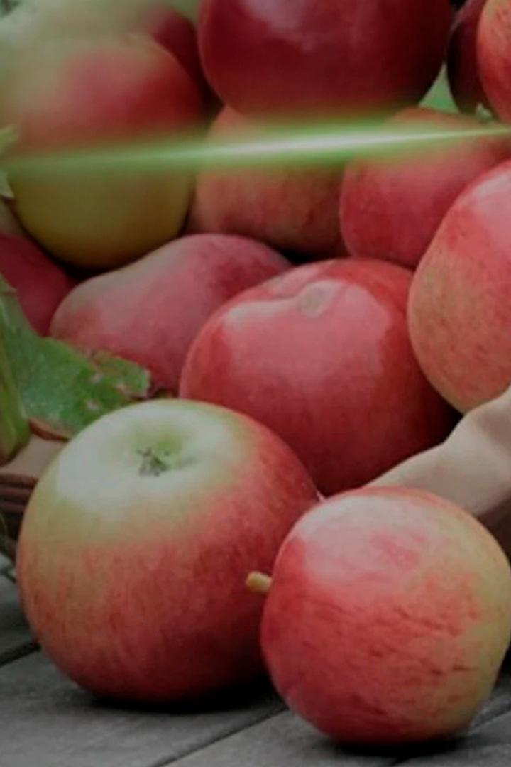 Яблочный Спас