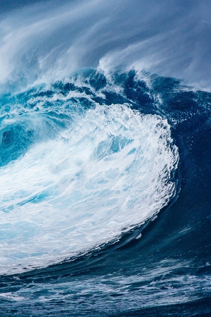 Он, Она и Океан