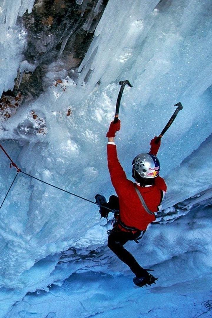 Песнь завтрашнего дня