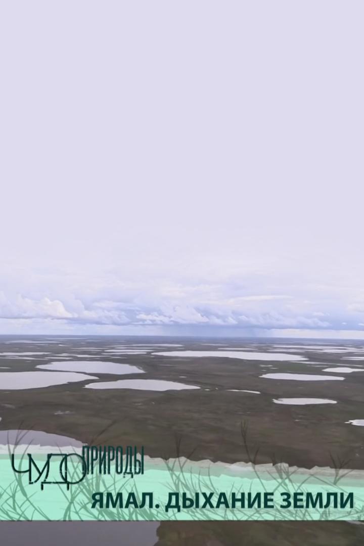 Ямал. Дыхание земли