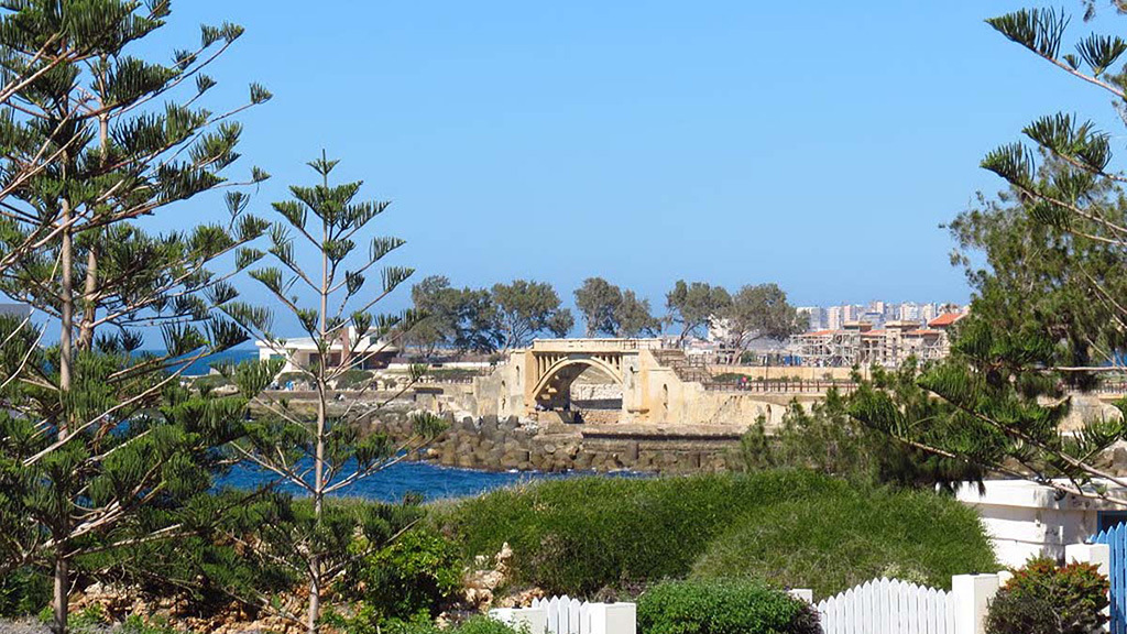 Сады Египта