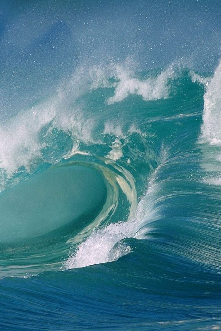 Миссия дружбы