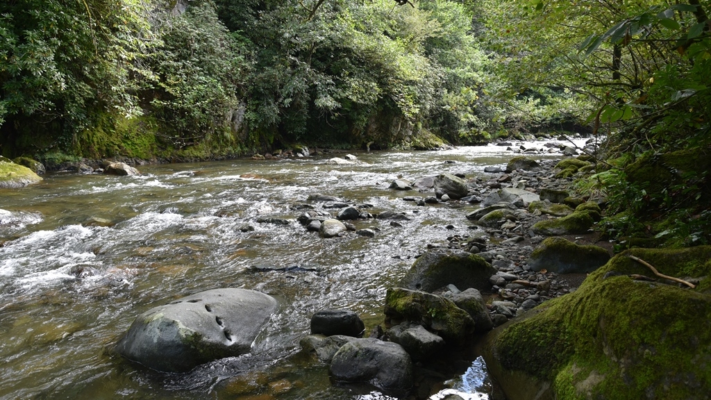 Река Чаквистави