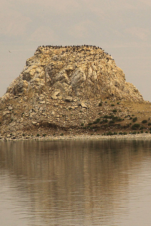 Остров Едор