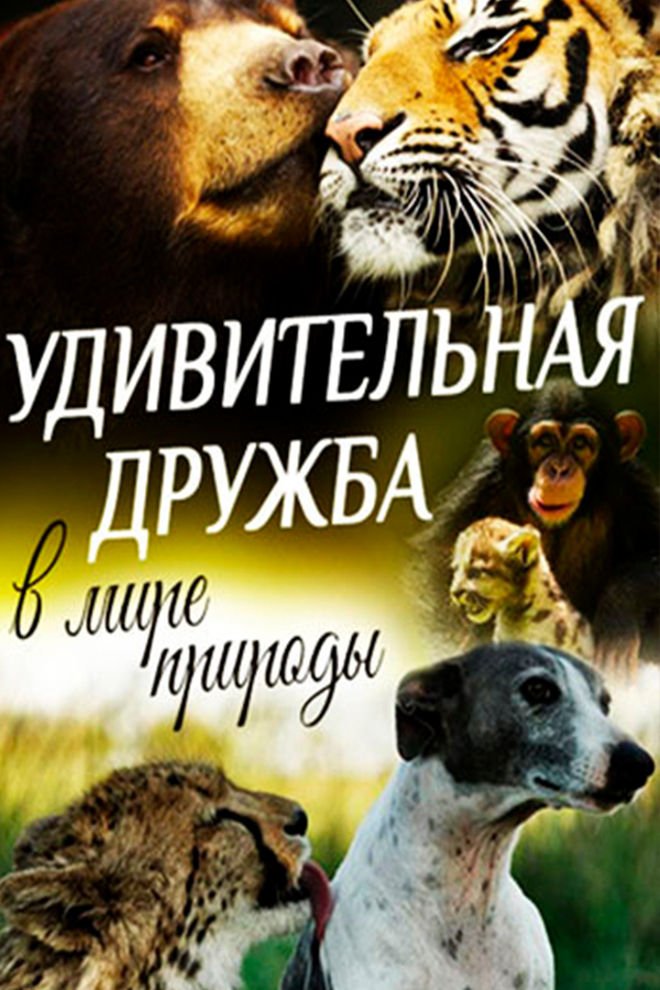 Удивительная дружба в мире природы