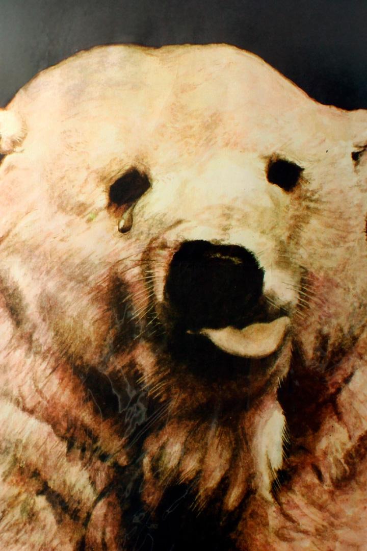 Акробат на северном полюсе