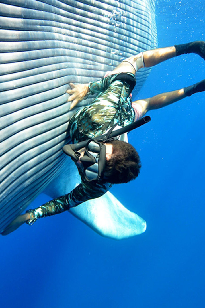 Морской ветеринар