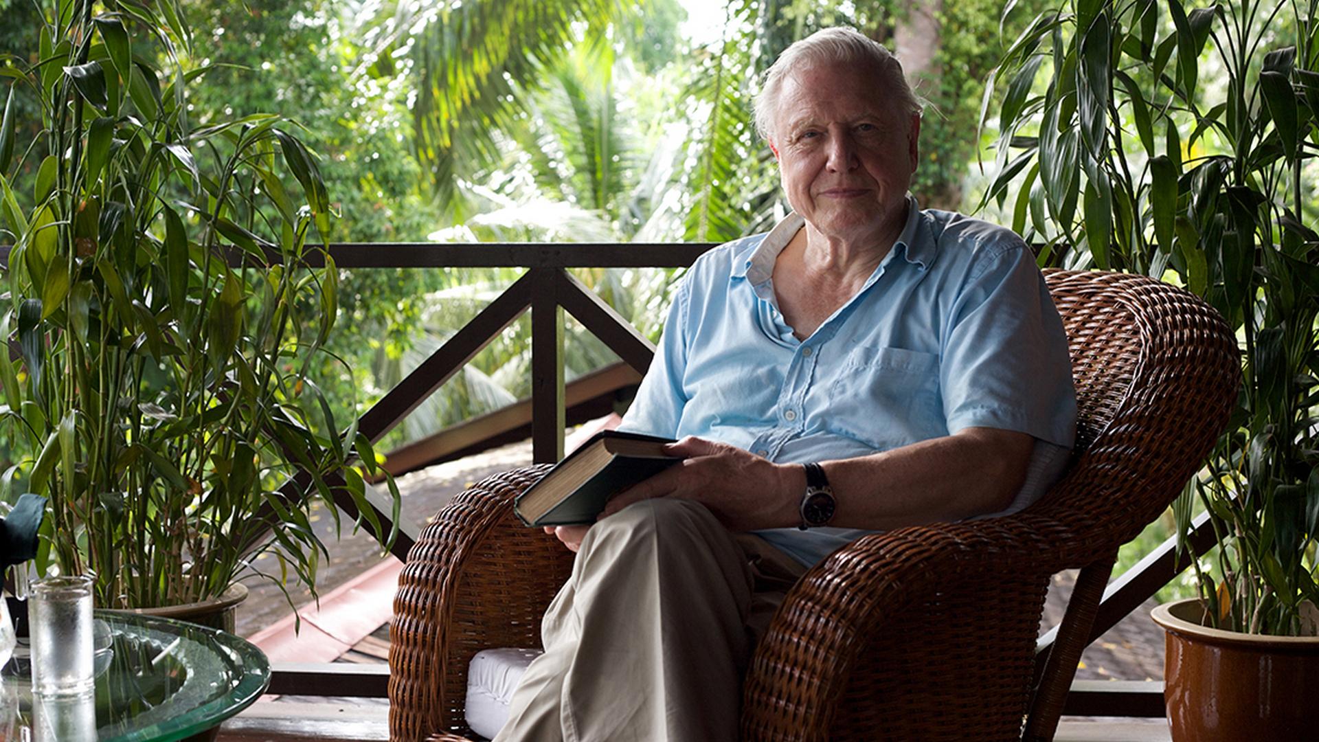 Дикий город