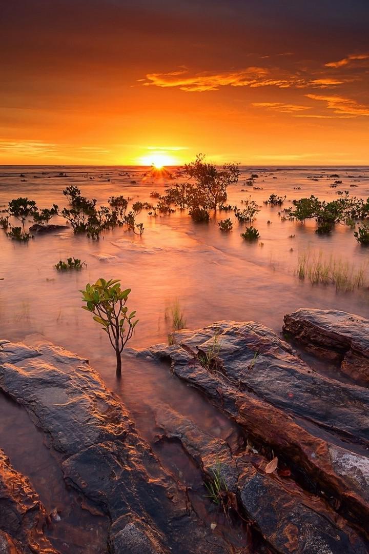 Дикая Австралия