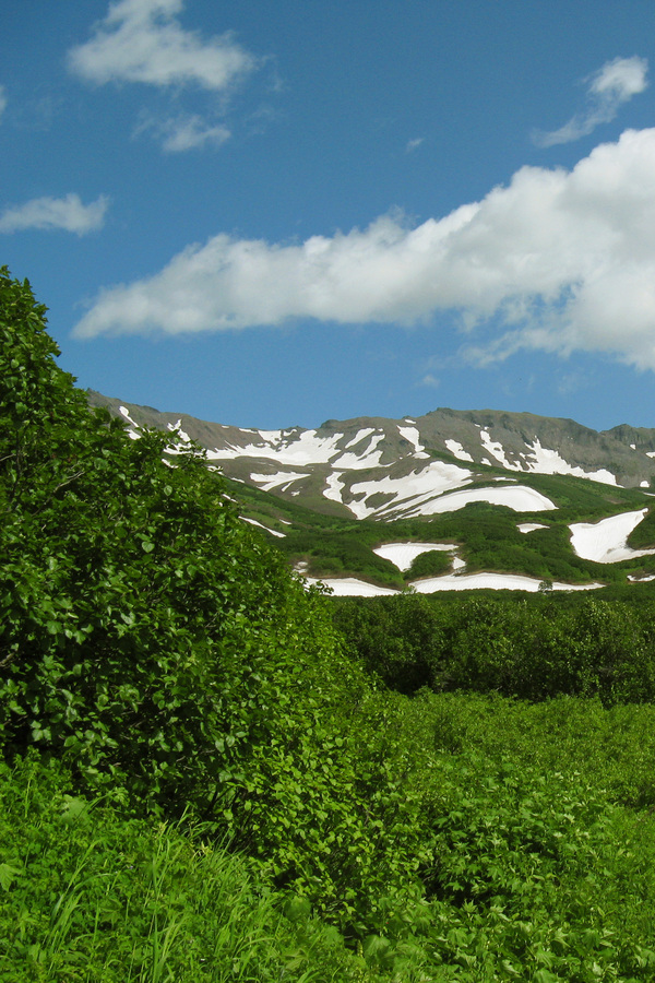Пиначевский перевал