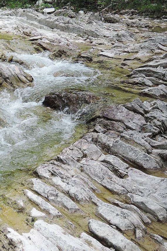 Притоки реки Пшада