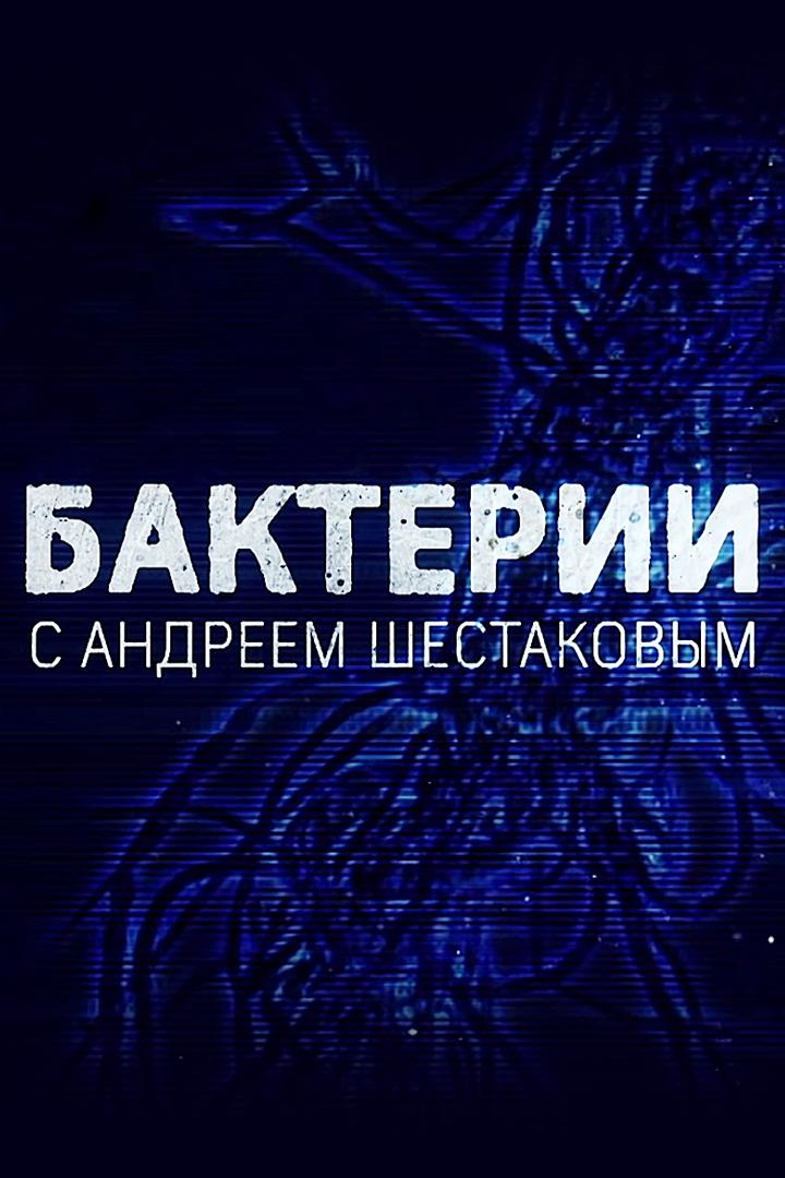 Бактерии. Новые возможности