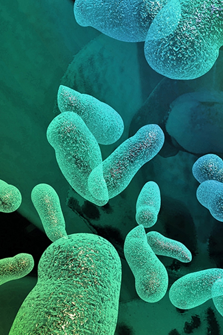 Бактерии. Какая польза от микробов?