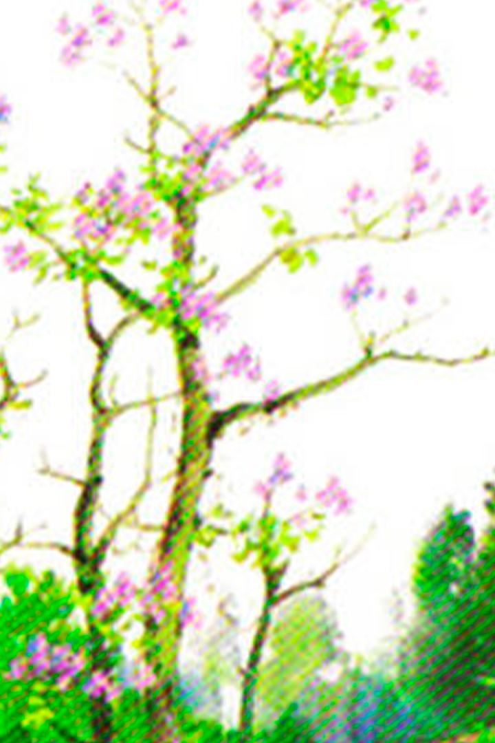 Ога Кадзуо. "Мастера образов" студии Джибли