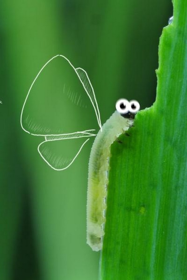 Микроистория