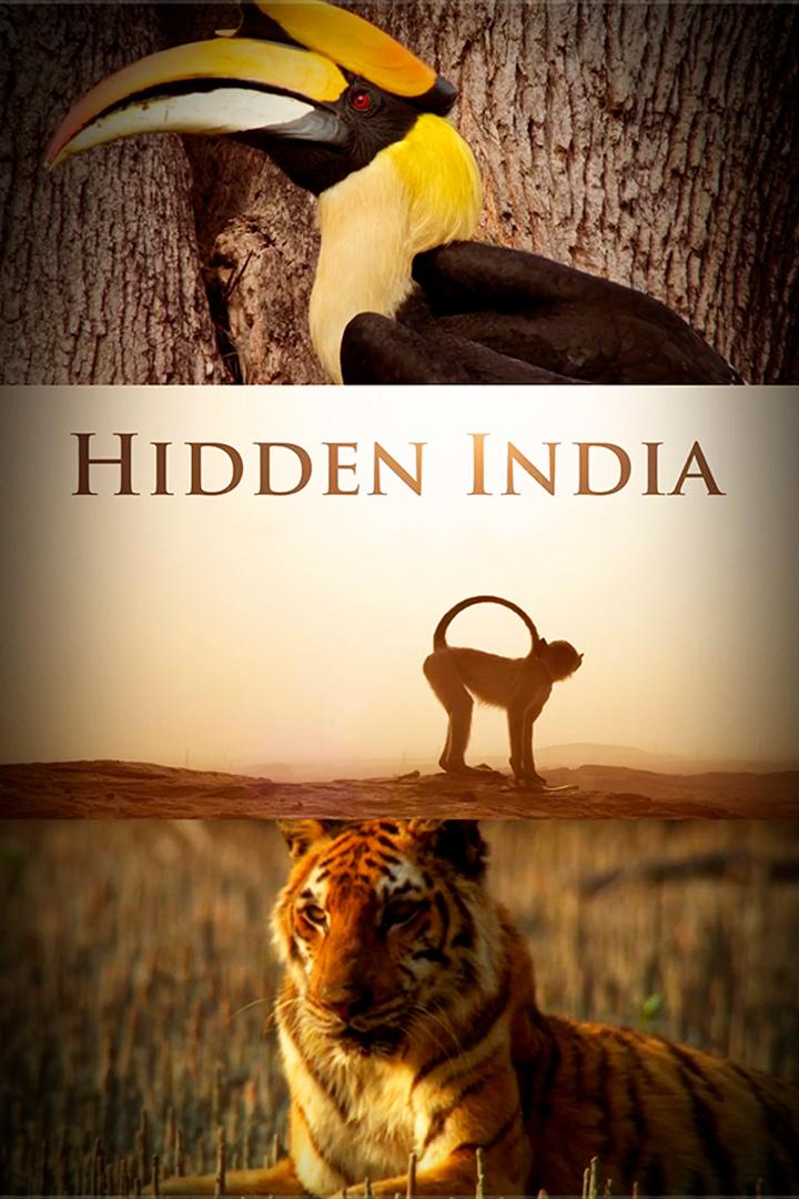 Тайная Индия