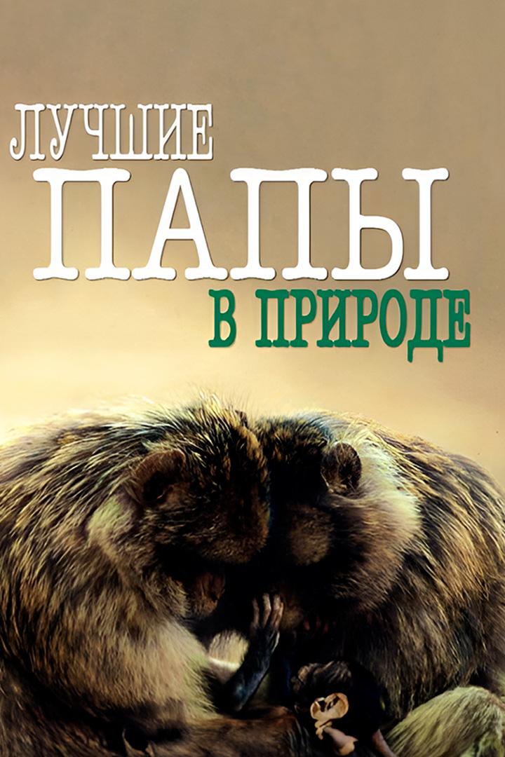 Лучшие папы в природе