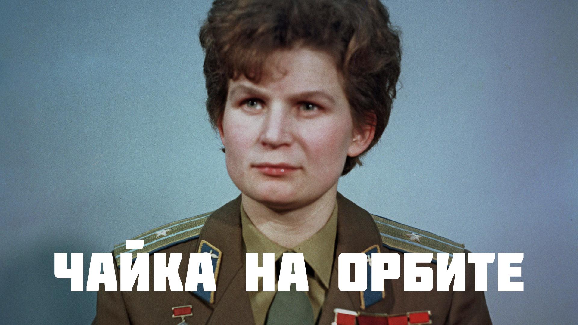 Чайка на орбите