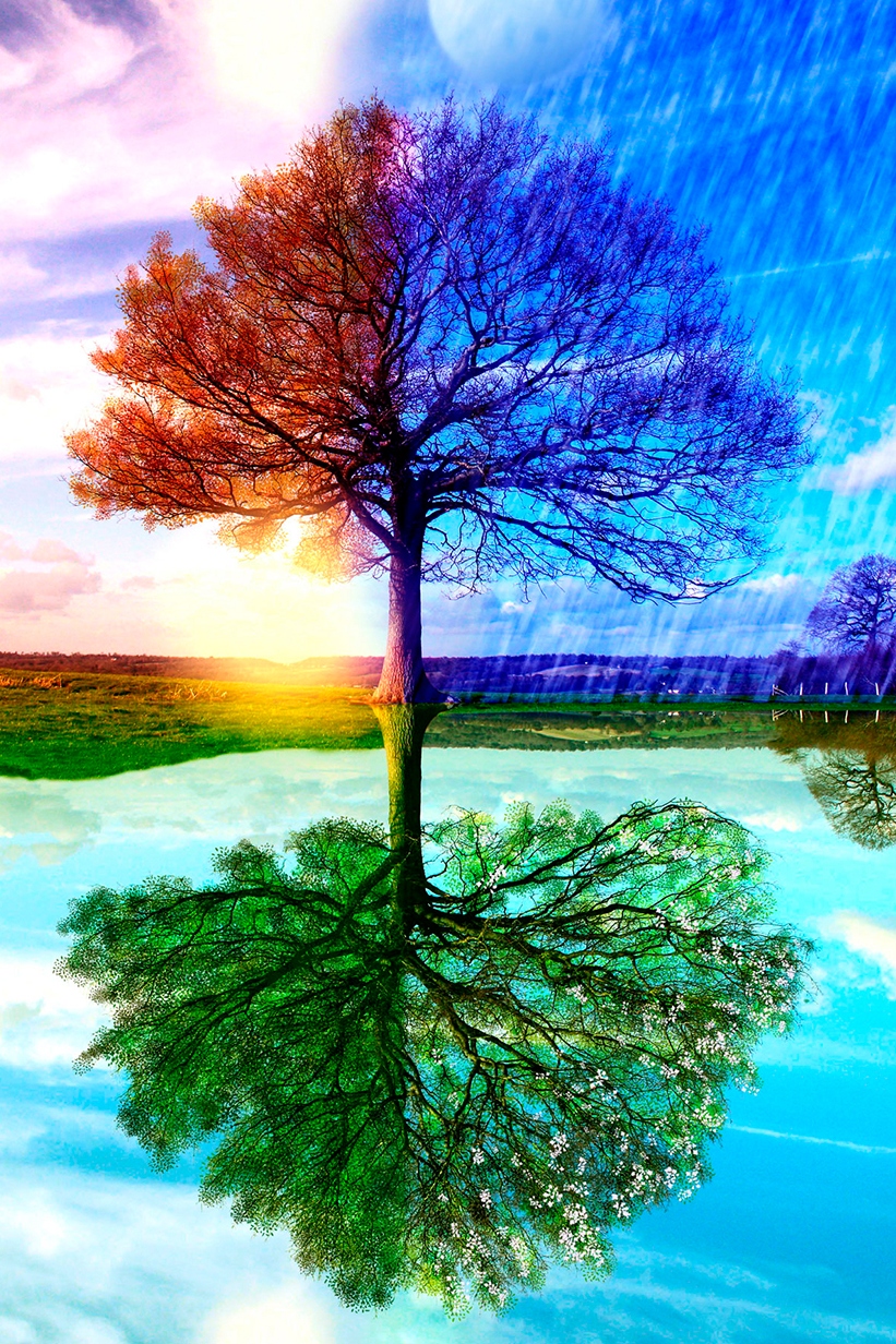 Чудесные времена года