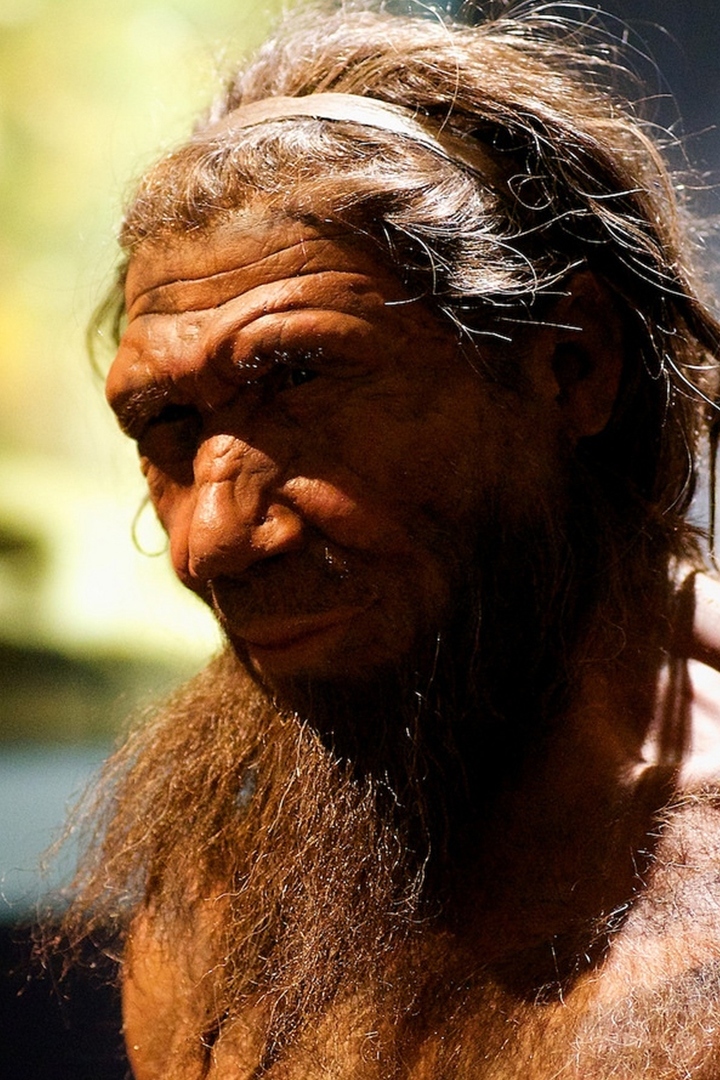 Почему вымерли неандертальцы?